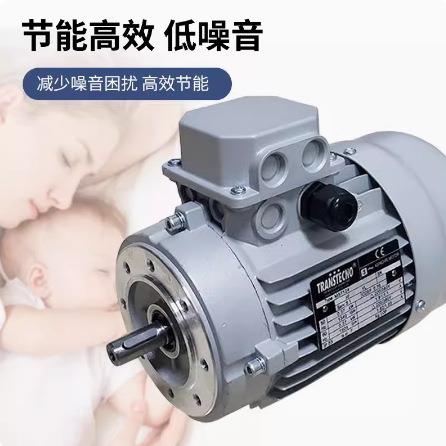 供应意大利TRANSTECNO诠世电机MS100B5-2.2KW 意大利诠世交流电机