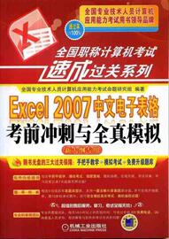 正版职称计算机考试速成过关系列-excel2007中文电子，专业技术人员计算