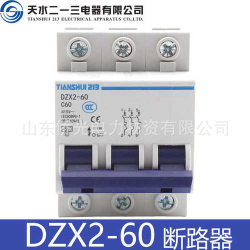 厂家直销天水二一三DZX2-60 2P32A3P60A小型断路器 DZX4-60空气开