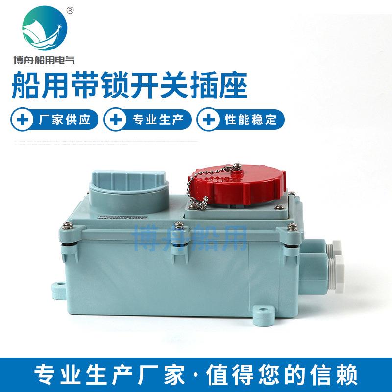 IEC带锁开关插座IEC不带锁开关插座RSIL2-3蓝船用插头插座图片