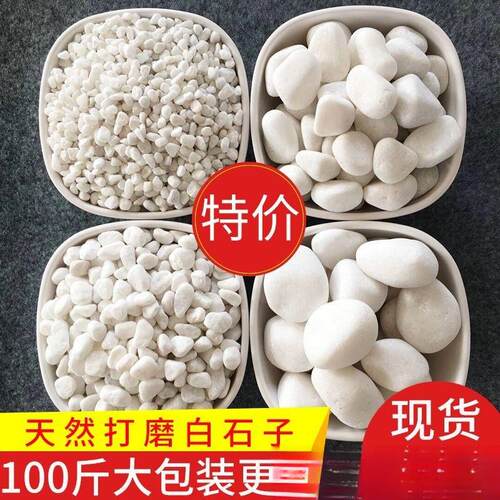 10白0斤白头石子色鹅卵石庭院造746景装饰石花园铺地铺路白白色砾