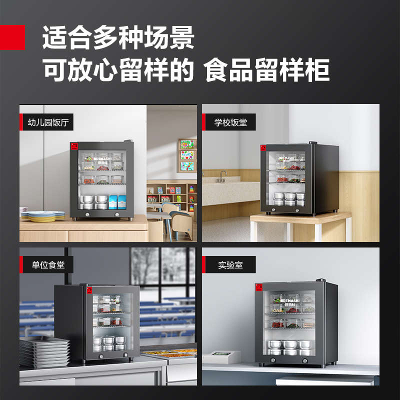 德玛仕学校食品留样柜专用带锁幼儿园小型留样柜保鲜冷藏箱展示柜