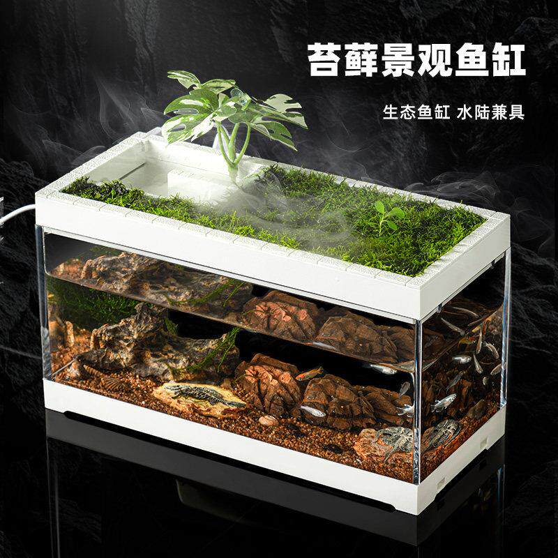 苔藓共生鱼缸小型桌面微景观懒人免换水循环过滤一体生态造景加湿