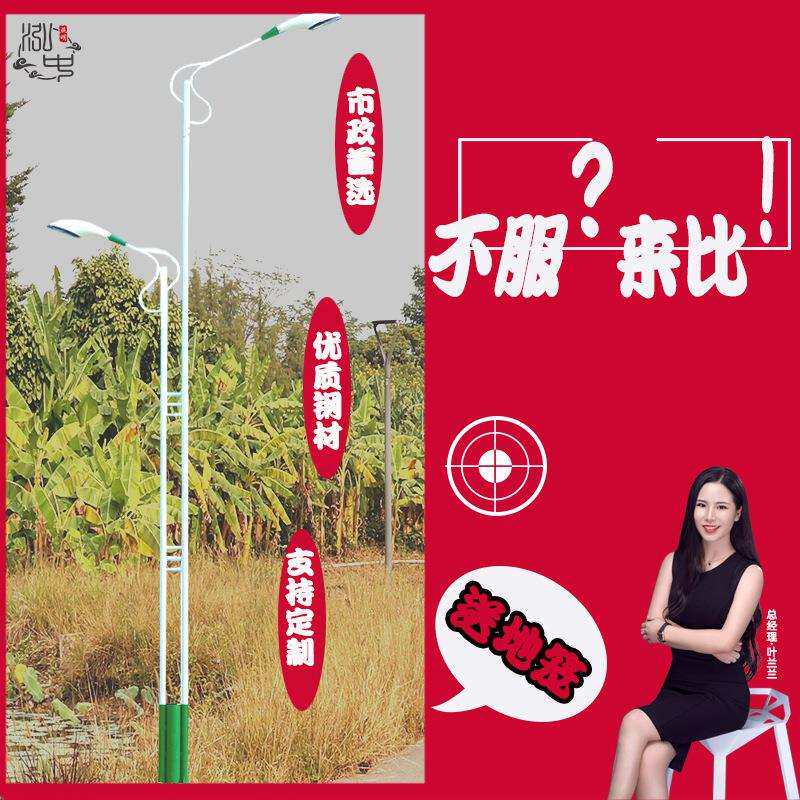 10m12m道路市政led路灯双杆双臂路灯头10米户外高杆模组强光