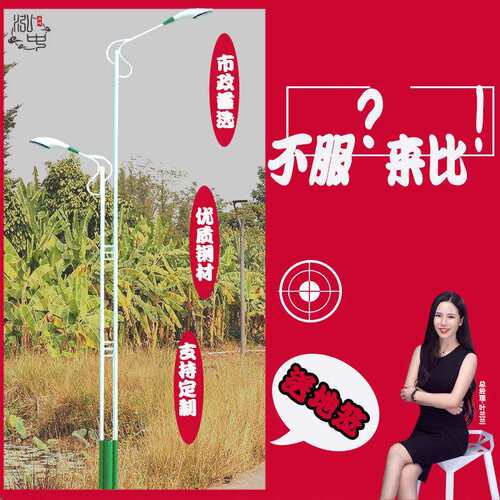 10m12m道路市政led路灯双杆双臂路灯头10米户外高杆模组强光