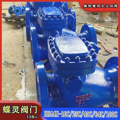 HH44X-40CDN500碳钢压防水锤矿用止回阀HH44H-40C微阻缓闭型