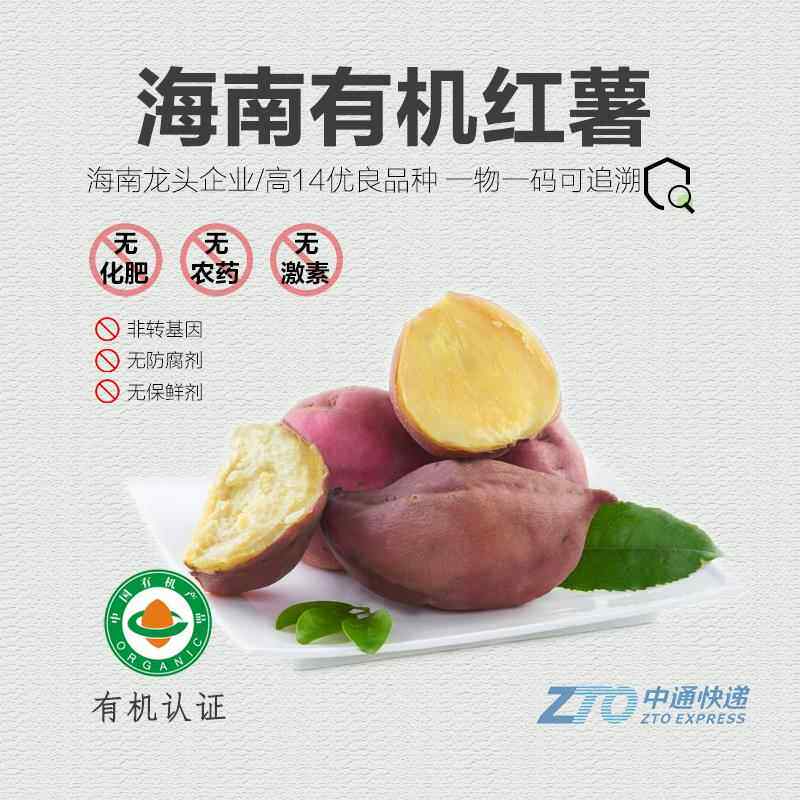 有机红薯5斤 新鲜番薯海南沙地板栗薯黄心西瓜红蜜薯芋头蒸烤地瓜