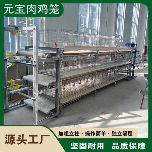 热镀锌耐腐蚀层叠蛋鸡笼三层四层全自动养殖设备