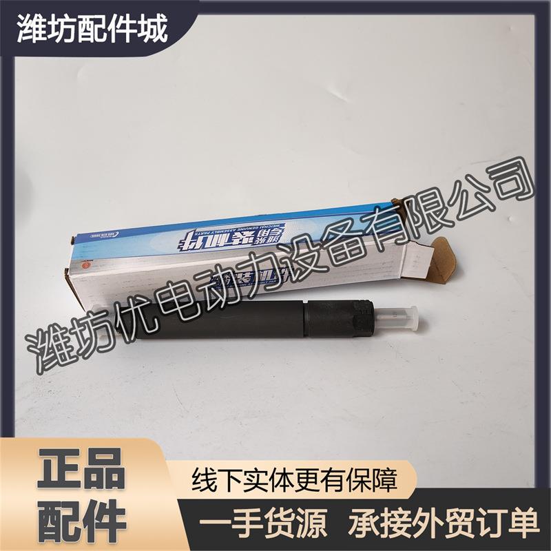 潍柴WD10斯太尔12M26博杜安61560080272喷油器总成喷油嘴油头