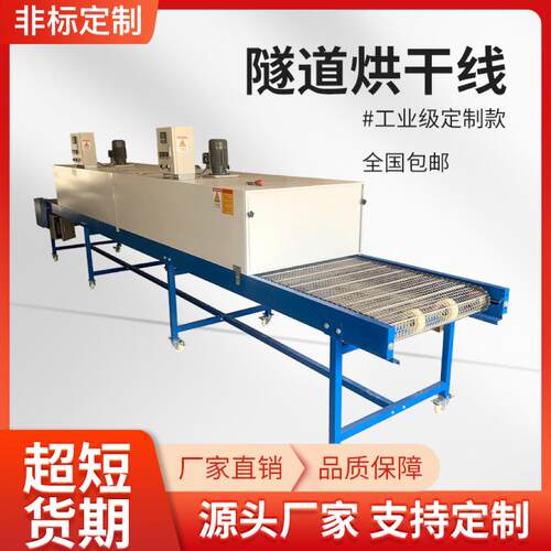 高温炉模具汽配隧道炉烘烤线五百度重型高温烘干线隧道炉固化炉