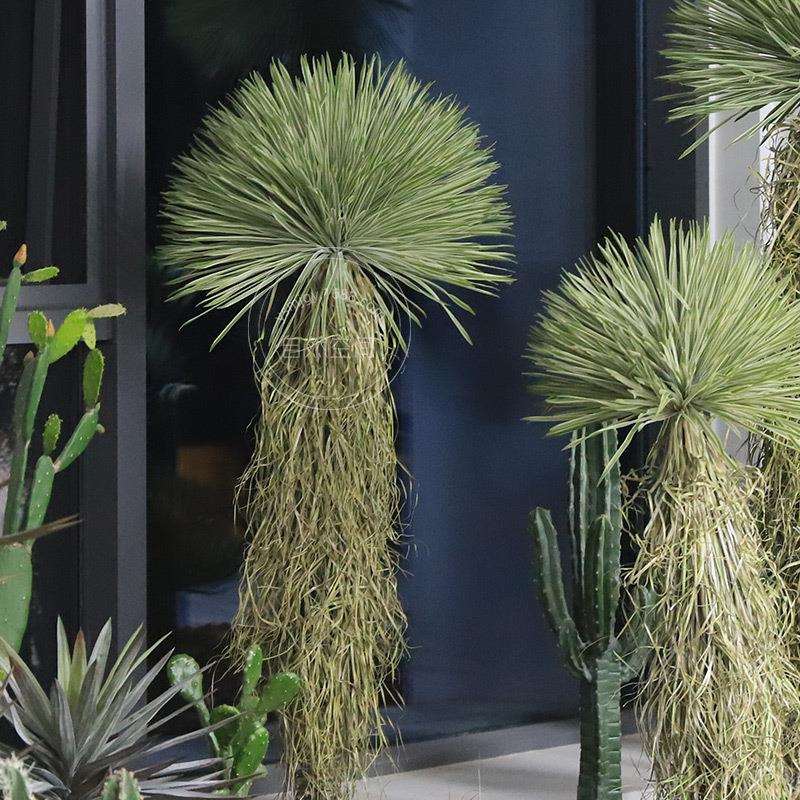 热带沙漠植物沙生植物造景大型落地盆栽稻草人假树盆栽橱窗绿植