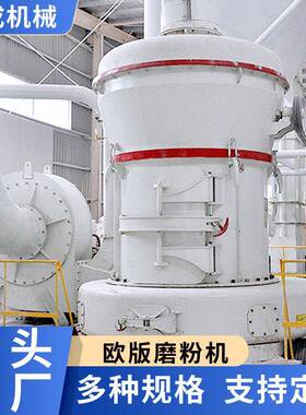 大型矿石雷蒙磨粉机水镁石氧化镁磨粉机膨润土碳化硅粉碎机