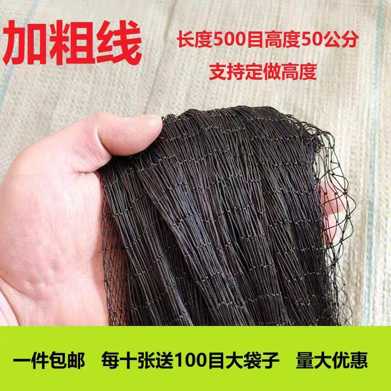 套防辣条专用尼龙网单层双节耐用黑色长网学校园区库房别墅防蛇