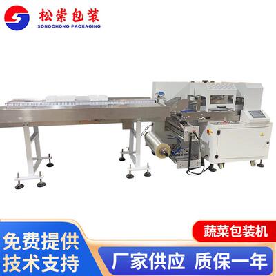 上海源厂SSC600蔬菜打包机全自动套袋枕式包装机超市商场社区配送