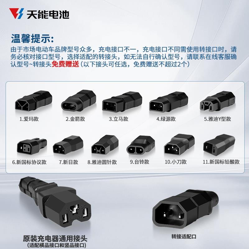 充天铅酸电器48V电0VV7动电车电充车专用瓶充器259556快2新国能标