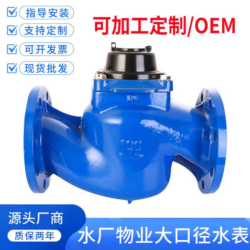 加工定制宁波螺翼式水表法兰大口径水厂物业垂直式冷水表WS-80100