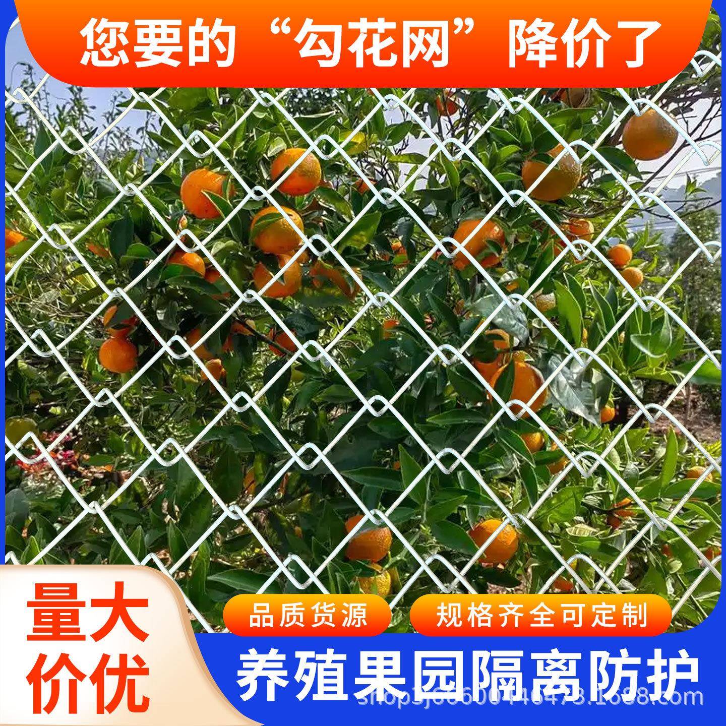 防锈镀锌铁丝网钢丝网户外围护栏网家用养殖牛羊拦鸡网菜园勾花网