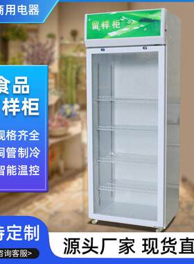 食品留样柜幼儿园食堂冷藏保鲜展示柜小型冰箱水果立式冷藏柜