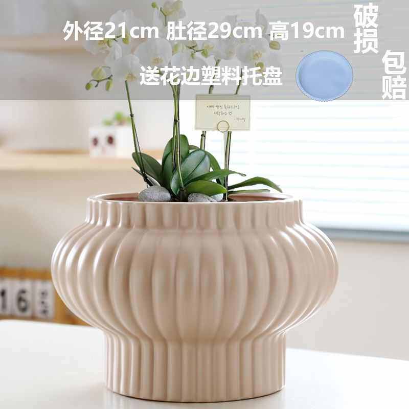 超大号花盆陶瓷大口径家用个性灯笼造型蝴蝶兰绿萝吊兰多肉花盆