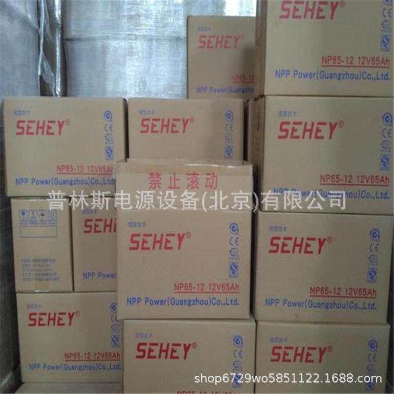 SEHEY西力蓄电池NP65-12 SH65-12 12V65Ah直流屏UPS不间断电源
