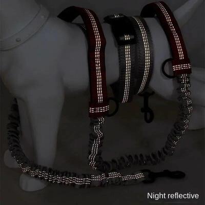 Retractable Hands Free Dog Leash for Running Judge Leash Lar