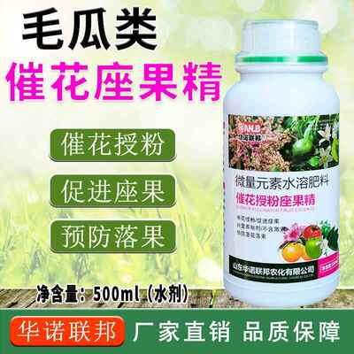 毛瓜催花授粉座果精毛瓜座果增雌花辅助授粉多座果防化瓜防落果