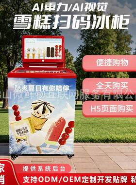自助售卖机雪糕机商用冰淇淋自动售货机冷冻柜24小时无人 厂家OEM