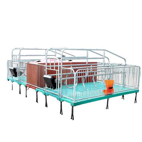 母猪双体产床畜牧养殖复合产保两用加厚热镀锌猪用分娩床