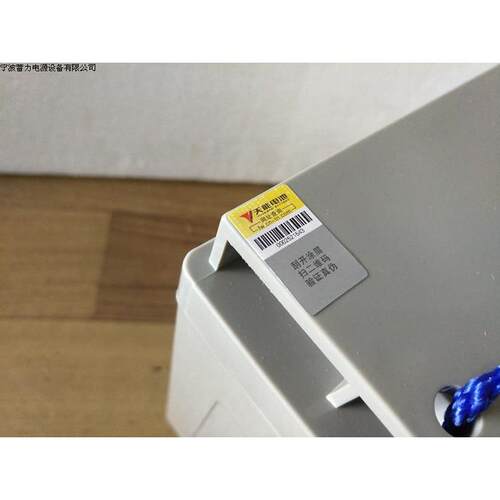 天能6EVF-100AH蓄电池电动汽车扫地车洗地机电瓶12V100AH电池