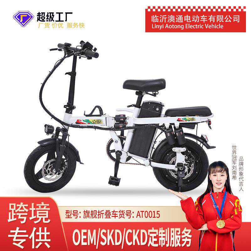 拉车厂家14寸双人成人折叠电动自行车电瓶车长续航跨境成人通勤