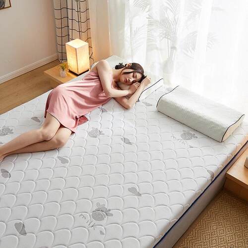 源头工厂2025新款针织棉乳胶记忆海绵床垫双人家用榻榻米加厚床垫
