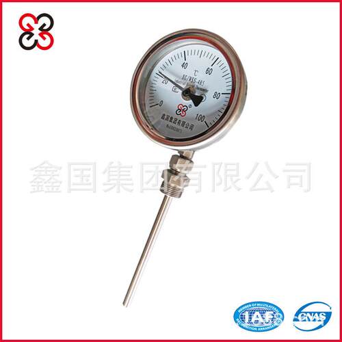 厂家供应万向型双金属温度计100mm WSS-481 不锈钢温度计 可定制