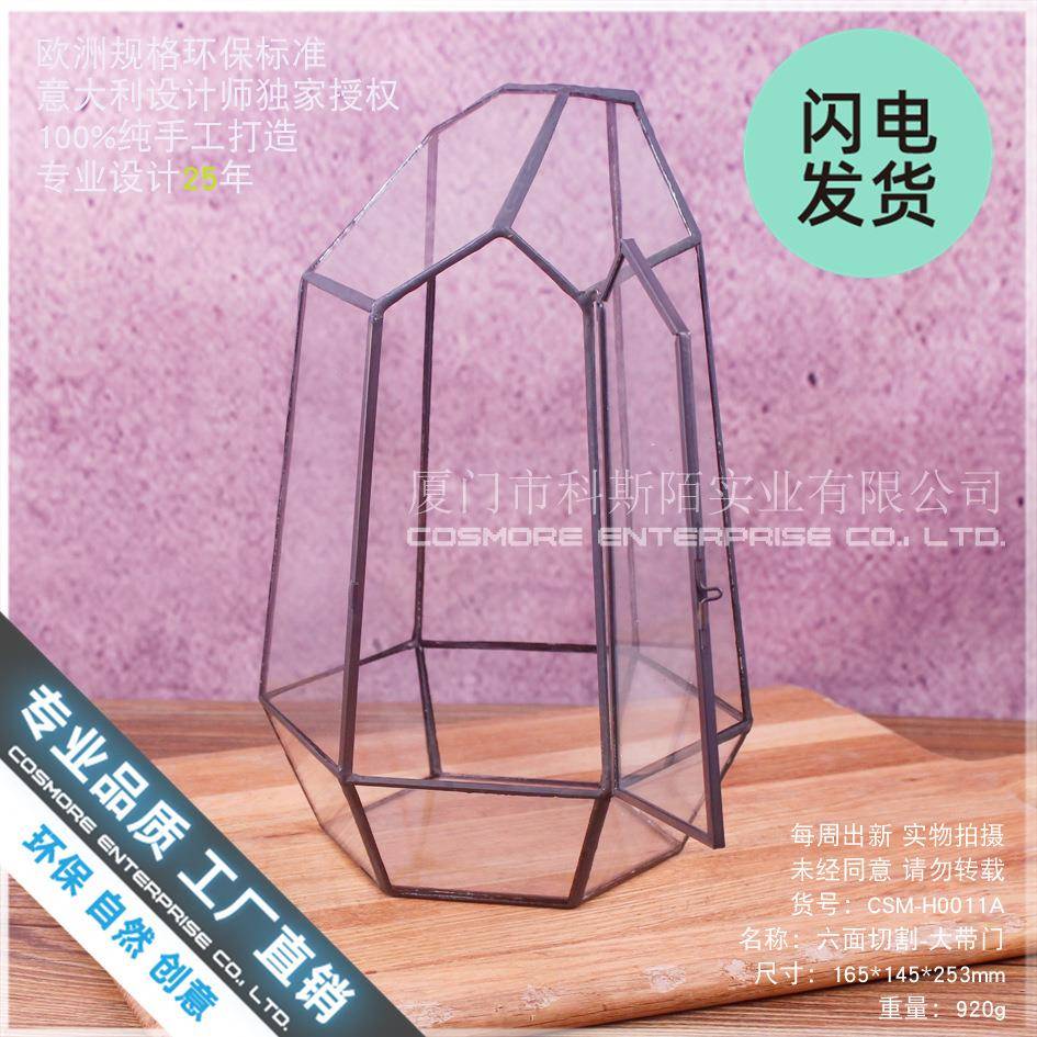 六面切割大带门玻璃花房永生花苔藓微景观瓶透明创意多肉花盆