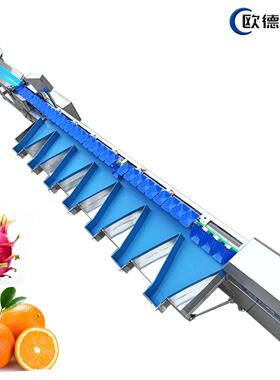 李子分选机布朗柠檬芭乐称重分级机自动上料操作简一机多用