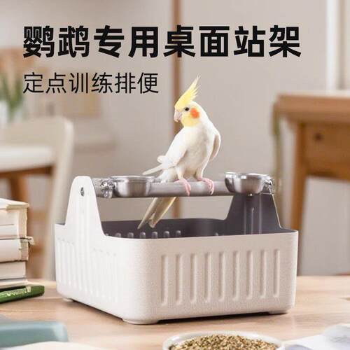 鹦鹉专用定点排便站架垃圾桶玄凤和尚桌面训练厕所垃圾桶