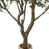 造景绿仿真盆景落地橄榄大型仿真假植橄榄树植装 饰室内酒店物