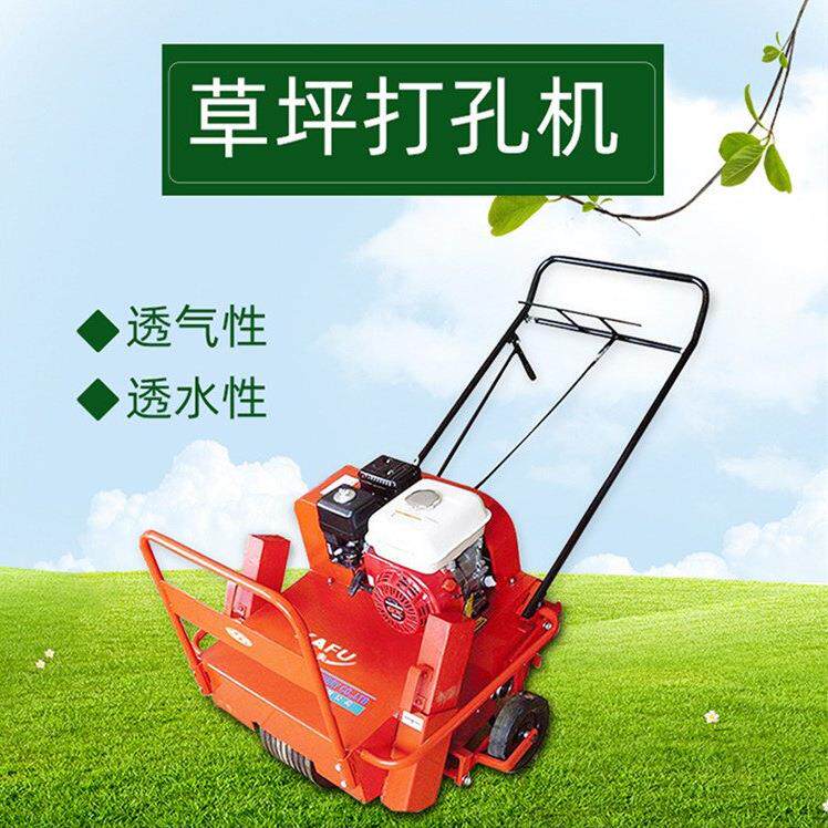 绿化草坪养护汽油梳草切根机园林草地打孔机促进草场生长滚压