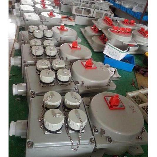 ZXF8030防爆防腐主令控制器 壁挂式2纽1表1开关ZXF8030-A2B1K1G