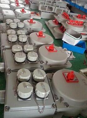 ZXF8030防爆防腐主令控制器 壁挂式2纽1表1开关ZXF8030-A2B1K1G