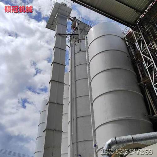 沙子斗式提升机矿石粉板链斗式提升机硕冠机械ne30型经久耐用
