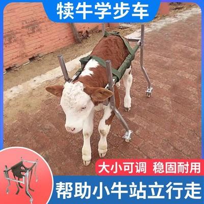 厂家生产加厚小牛犊学步车兽用养农用防护器具