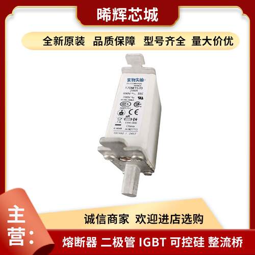 现货170M1570170M1571库存充足标准封装插入式熔断器型号齐全