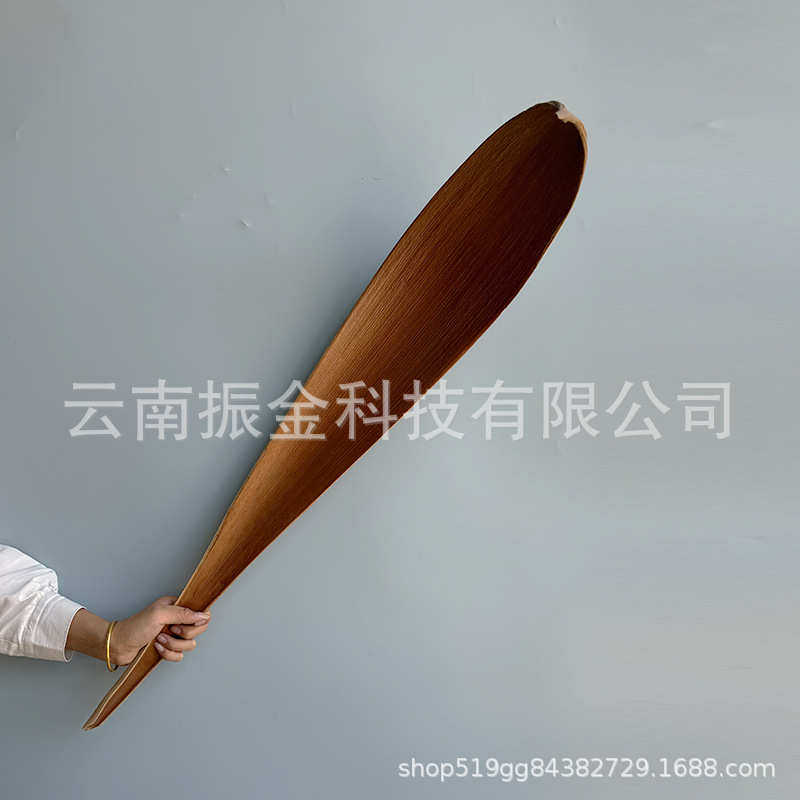大号天然叶子厘米超级8060叶干花饰品-样板房植物道具可可工作室