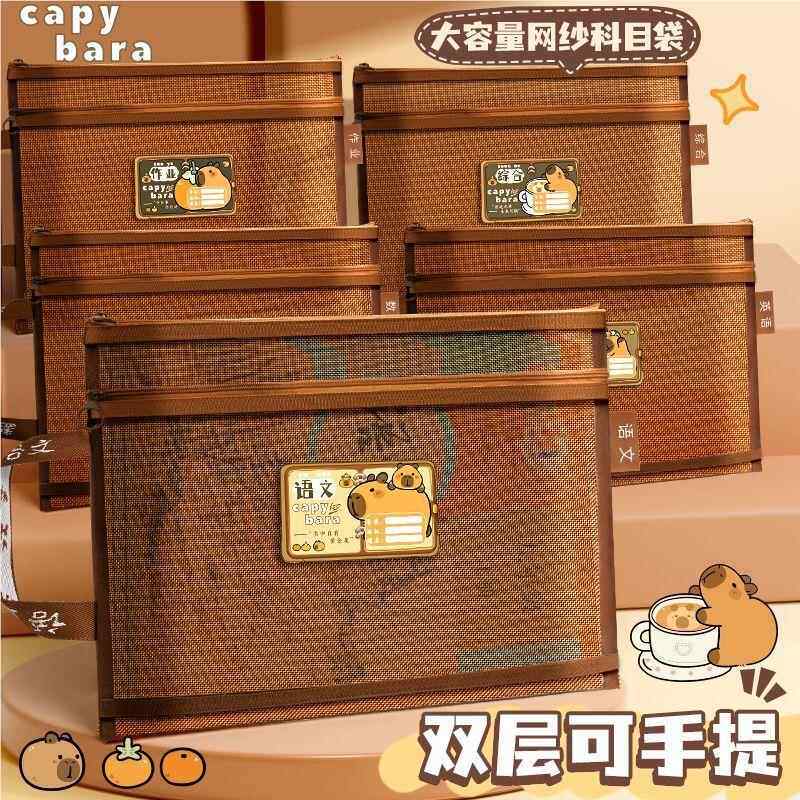 科目类袋作业分网纱文件拉链双层收纳袋大容量试透无明A4学生耐卷