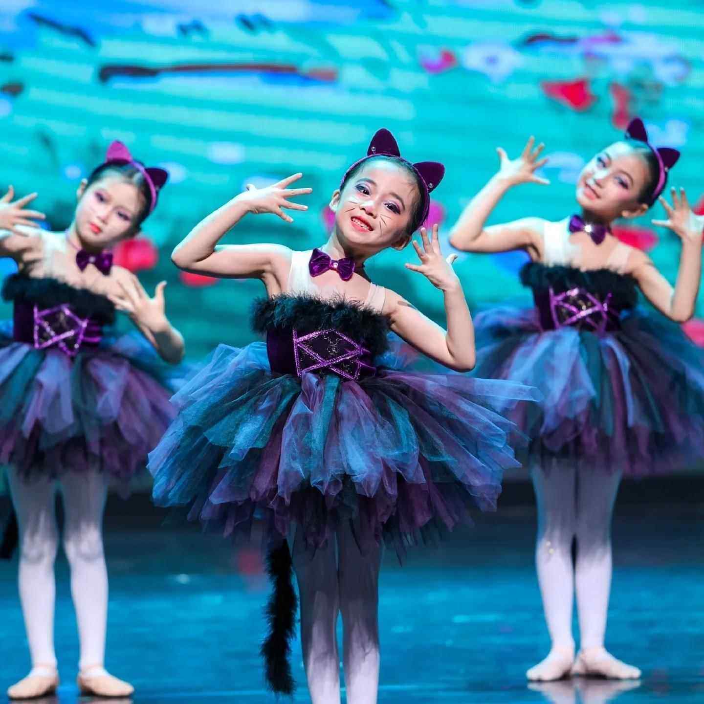 高档新款爱女童小猫咪演出服跳服舞的小怪兽蹈学猫叫蓬蓬纱裙表演