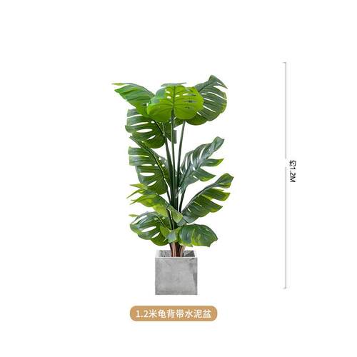客厅物真蕉摆盆栽造景叶北欧装饰邮包旅人假植室内绿色植物龟背生