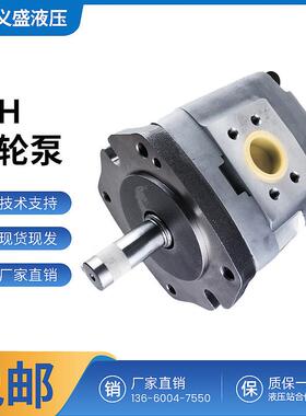 液压齿轮泵油泵IGH IGM-2 3 4 5 6F-5 6.5 13 16 32 40 100-R-20
