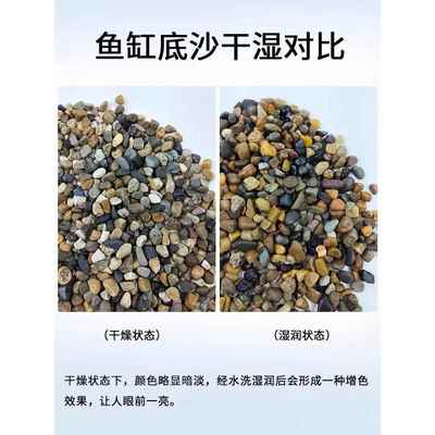 溪石鱼缸砂底砂景观多肉铺路石鹅卵石庭院铺路石地板暖豆石