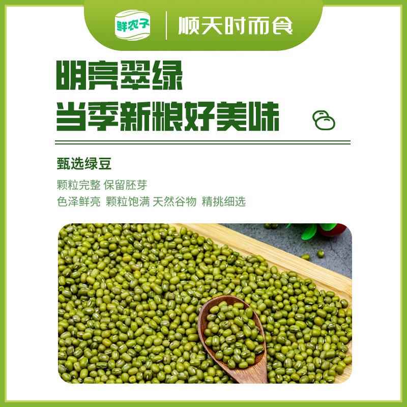东北新绿豆五谷杂粮精品小绿豆发芽新鲜农家可发芽颗粒饱满绿豆粥