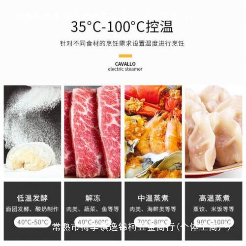 佳威路蒸箱家用台式电蒸饭箱蒸柜纯蒸箱家庭用小型蒸箱蒸汽电汽箱